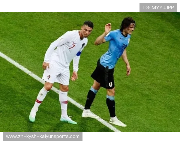 英超现役与退役所有球员完整数据库参考