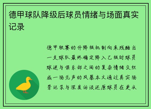 德甲球队降级后球员情绪与场面真实记录